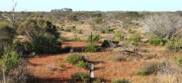 Southern rangelands pasture condition and management guides